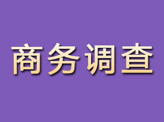 桐庐商务调查